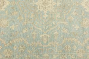 Muted Aqua Blue Floral 6X9 Transitional Oriental Rug