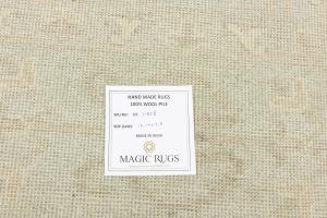 Muted Aqua Blue Floral 10x14Transitional Oriental Rug