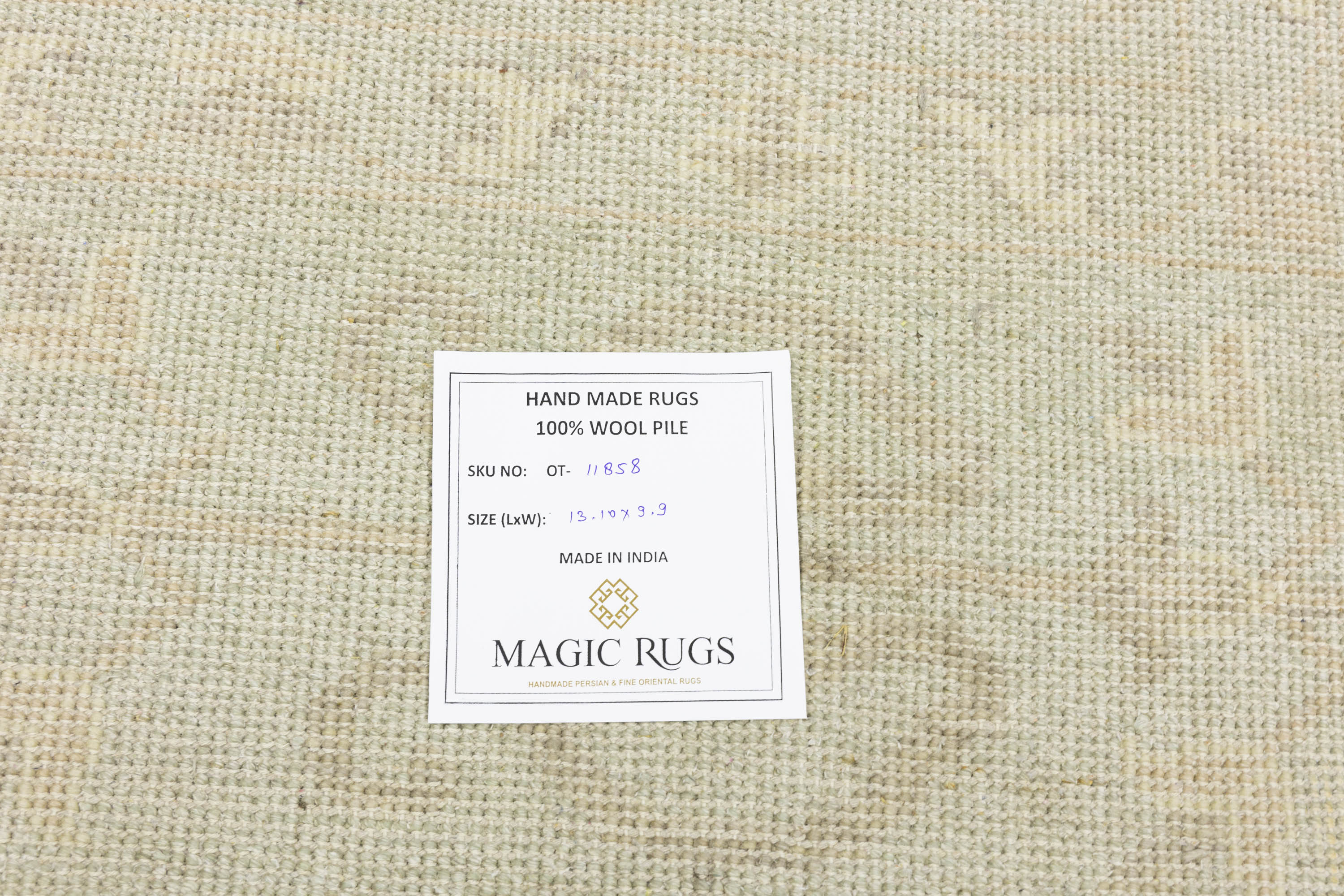 Muted Aqua Blue Floral 10x14Transitional Oriental Rug
