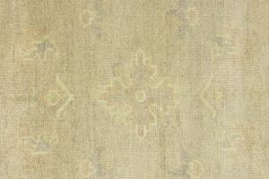 Muted Beige Floral 10x14Transitional Oriental Area Rug