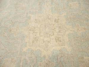 Muted Aqua Green Floral Transitional 12x15 Oriental Area Rug