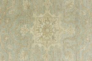 Muted Aqua Green Floral 8x10 Transitional Oriental Area Rug
