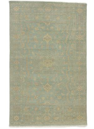 Muted Aqua Blue Floral 5X8 Transitional Oriental Rug