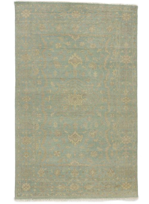 Muted Aqua Blue Floral 5X8 Transitional Oriental Rug