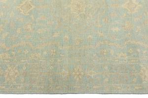 Muted Aqua Blue Floral 5X8 Transitional Oriental Rug