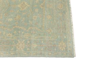 Muted Aqua Blue Floral 5X8 Transitional Oriental Rug
