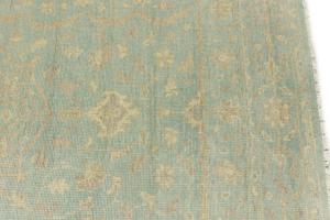 Muted Aqua Blue Floral 5X8 Transitional Oriental Rug