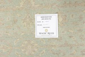 Muted Aqua Blue Floral 5X8 Transitional Oriental Rug
