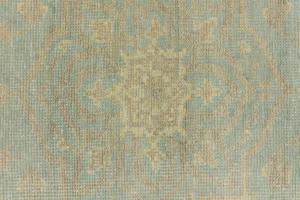 Muted Aqua Blue Floral 5X8 Transitional Oriental Rug