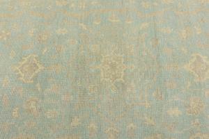 Muted Aqua Blue Floral 5X8 Transitional Oriental Rug