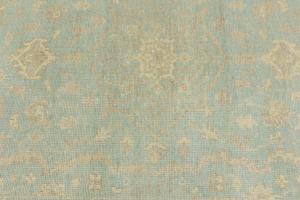 Muted Aqua Blue Floral 5X8 Transitional Oriental Rug