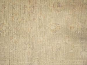 Muted Beige Floral 3X5 Transitional Oriental Rug