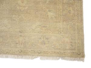 Muted Beige Floral 3X5 Transitional Oriental Rug
