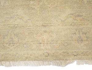 Muted Beige Floral 3X5 Transitional Oriental Rug
