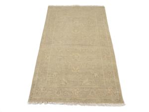 Muted Beige Floral 3X5 Transitional Oriental Rug