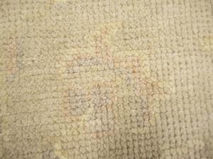 Muted Beige Floral 3X5 Transitional Oriental Rug