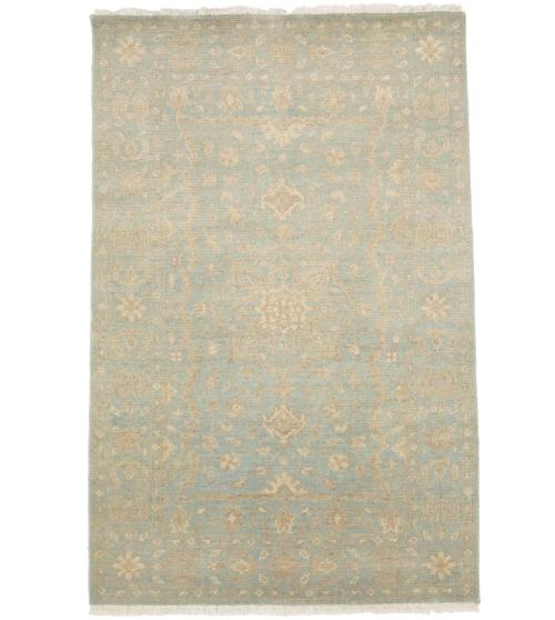 Muted Aqua Blue Floral 4x6Transitional Oriental Rug