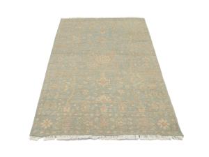Muted Aqua Blue Floral 4x6Transitional Oriental Rug