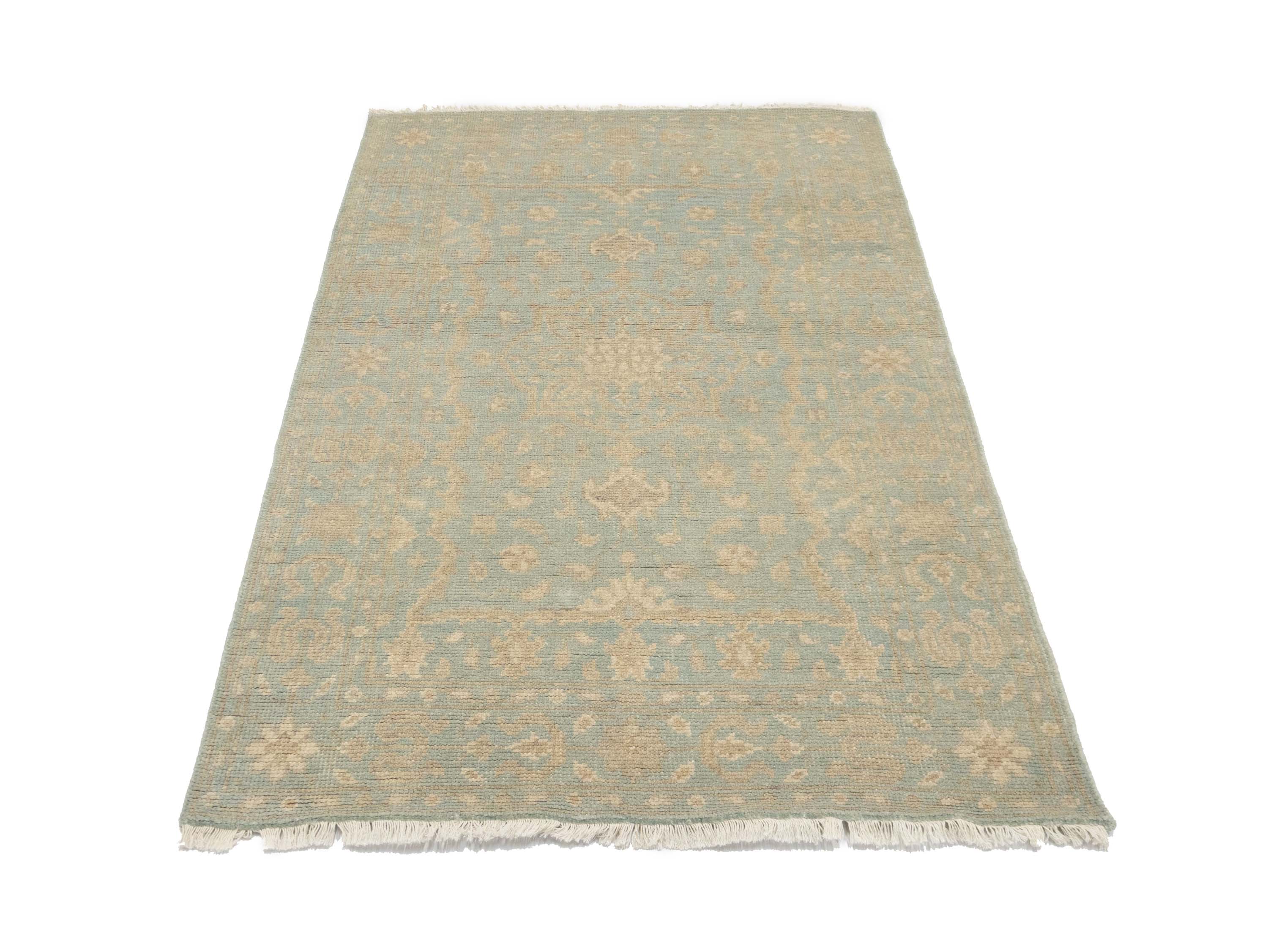 Muted Aqua Blue Floral 4x6Transitional Oriental Rug