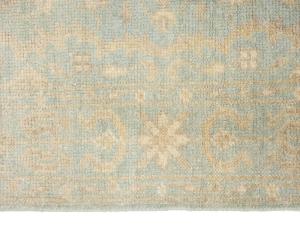 Muted Aqua Blue Floral 4x6Transitional Oriental Rug