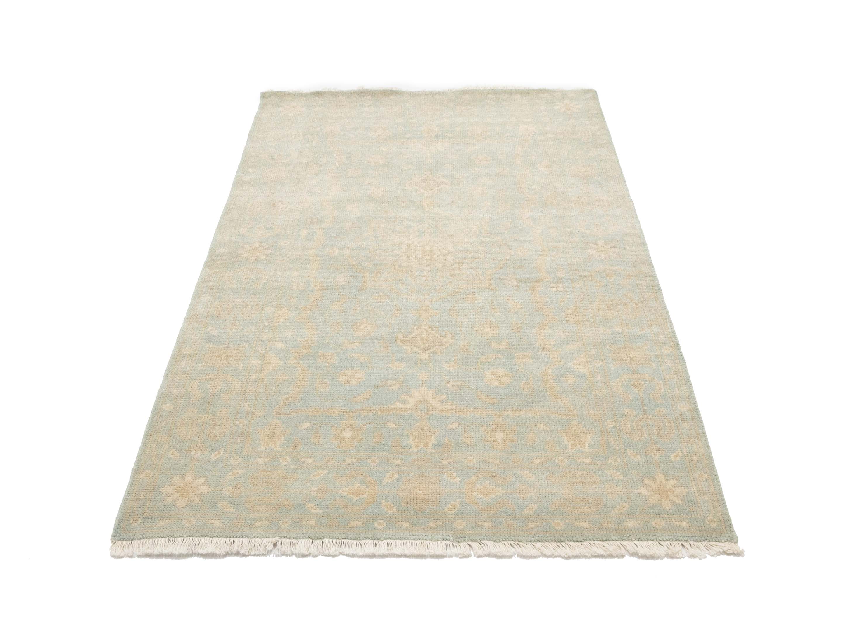 Muted Aqua Blue Floral 4x6Transitional Oriental Rug