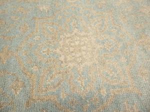 Muted Aqua Blue Floral 4x6Transitional Oriental Rug