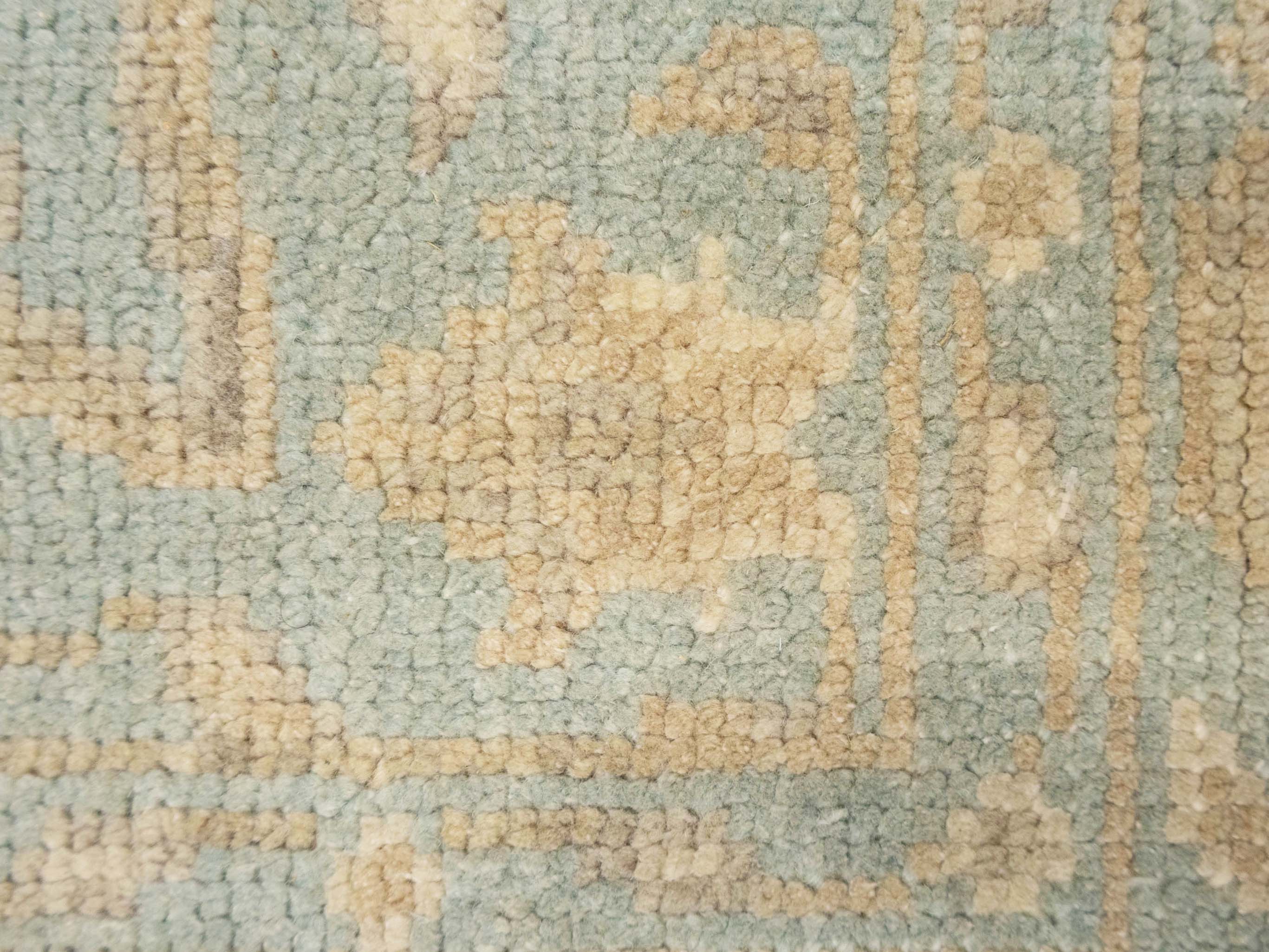 Muted Aqua Blue Floral 4x6Transitional Oriental Rug