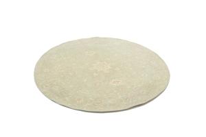 Muted Aqua Green Floral Transitional 8x8 Oriental Round Rug