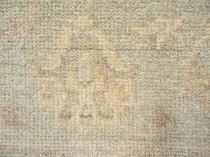 Muted Aqua Green Floral 8x10Transitional Oriental Rug