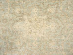 Muted Aqua Green Floral 8x10Transitional Oriental Rug
