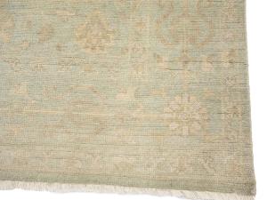 Muted Aqua Green Floral 8x10Transitional Oriental Rug