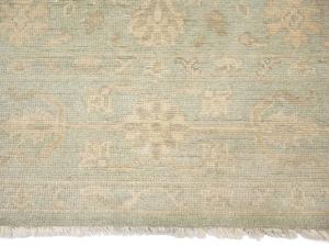 Muted Aqua Green Floral 8x10Transitional Oriental Rug
