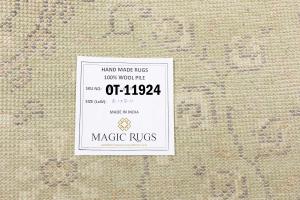 Muted Light Green Floral 5X8 Transitional Oriental Rug