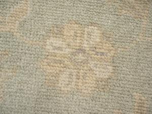 Muted Aqua Green Floral 9x12Transitional Oriental Rug