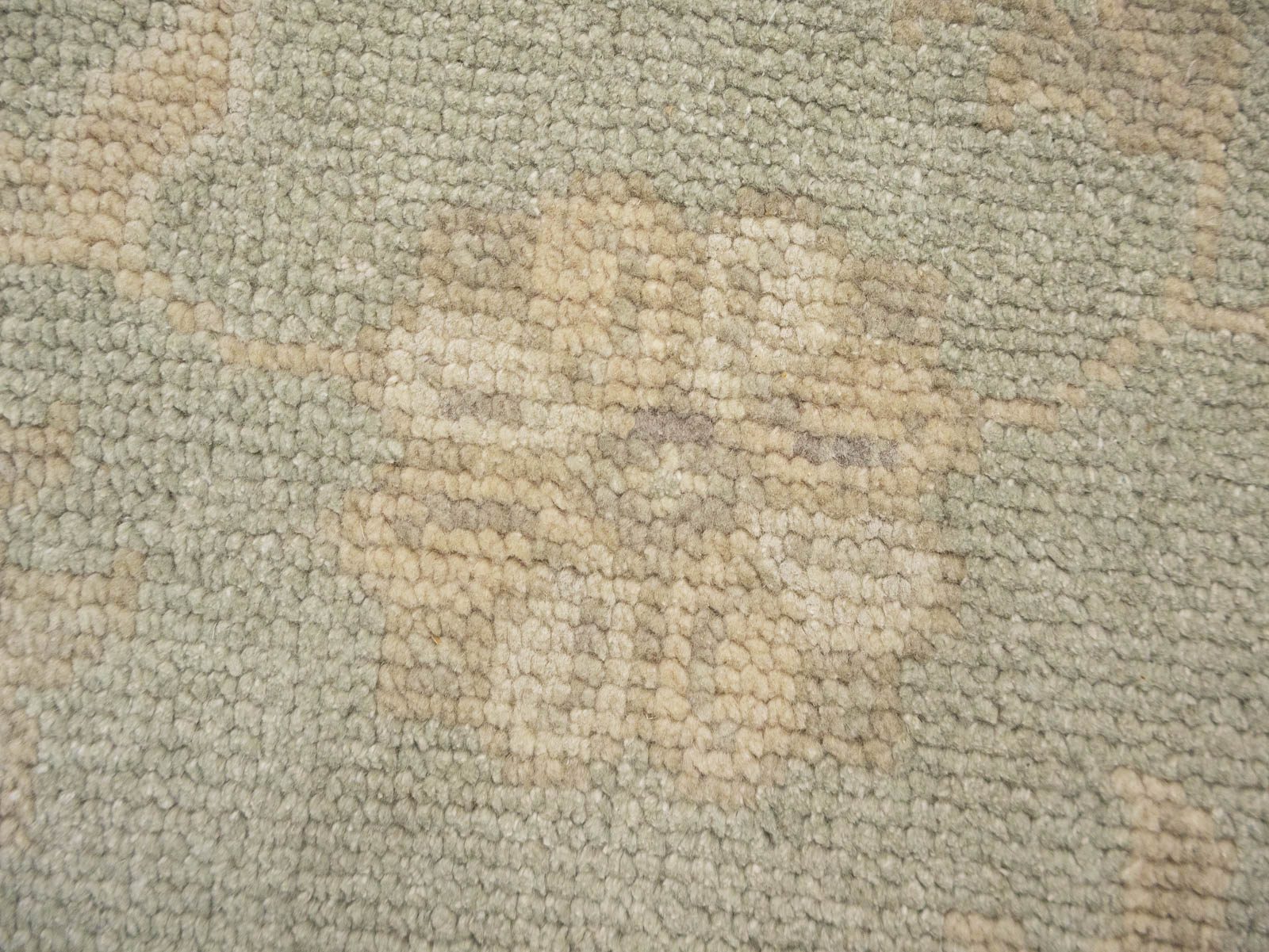 Muted Aqua Green Floral 9x12Transitional Oriental Rug