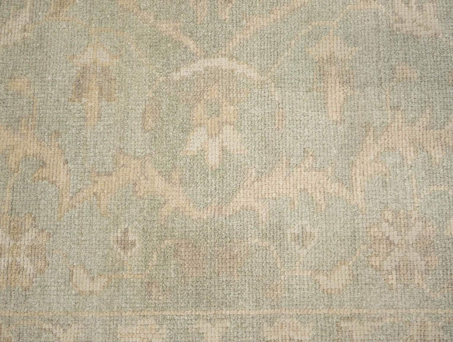 Muted Aqua Green Floral 9x12Transitional Oriental Rug