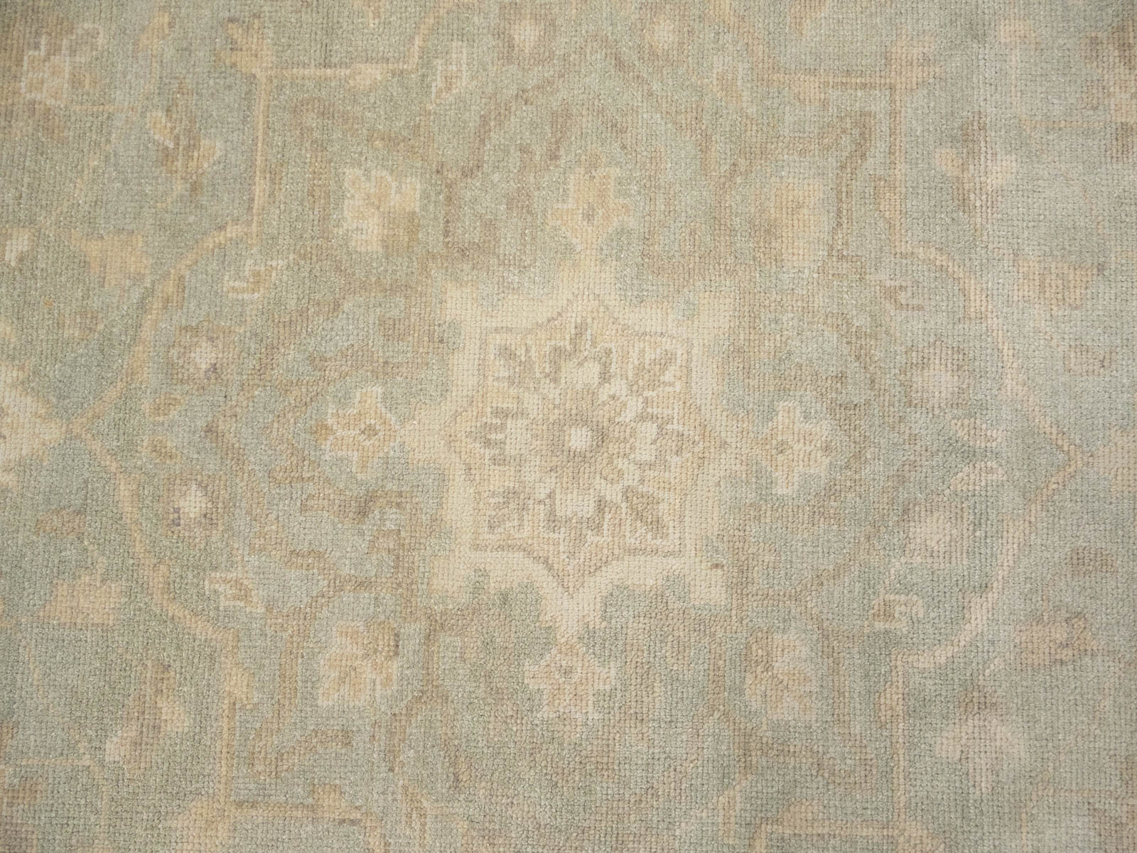 Muted Aqua Green Floral 9x12Transitional Oriental Rug