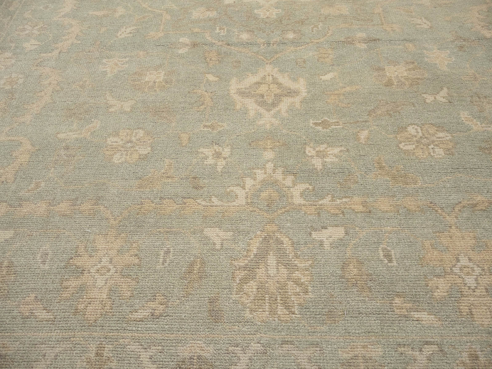 Muted Aqua Green Floral 9x12Transitional Oriental Rug