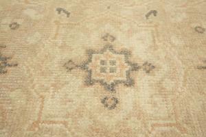 Muted Pinkish Beige Floral 3x12 Transitional Oriental Runner Rug