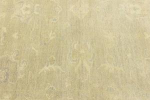 Muted Beige Floral 6x9 Transitional Oriental Rug