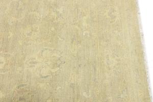 Muted Beige Floral 6x9 Transitional Oriental Rug