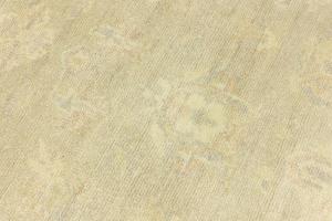 Muted Beige Floral 6x9 Transitional Oriental Rug