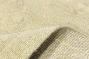 Muted Beige Floral 6x9 Transitional Oriental Rug