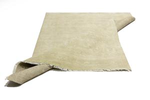 Muted Beige Floral 6x9 Transitional Oriental Rug
