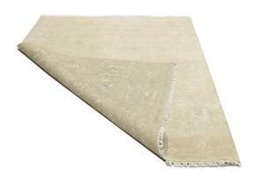Muted Beige Floral 6x9 Transitional Oriental Rug