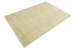 Muted Beige Floral 6x9 Transitional Oriental Rug