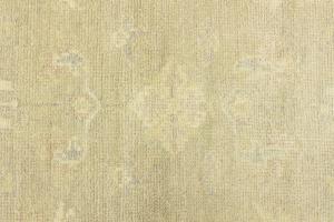 Muted Beige Floral 6x9 Transitional Oriental Rug