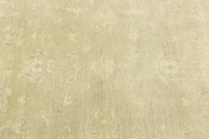 Muted Beige Floral 6x9 Transitional Oriental Rug