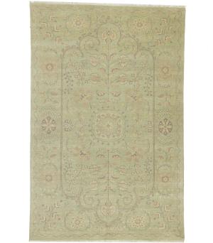Muted Light Green Floral Transitional 6x9 Oriental Rug