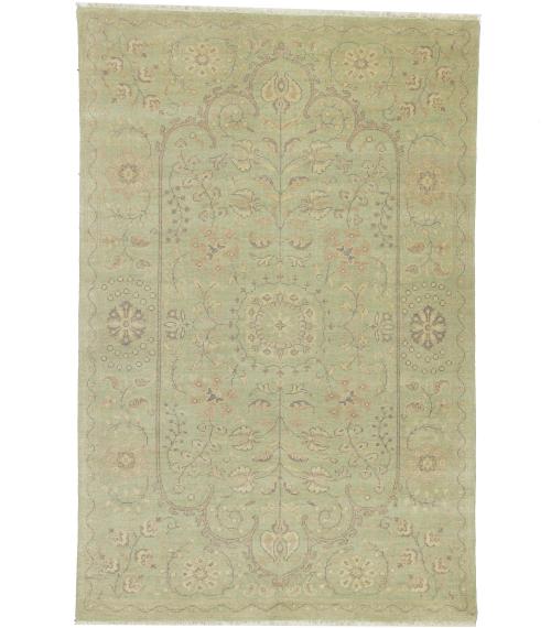 Muted Light Green Floral Transitional 6x9 Oriental Rug